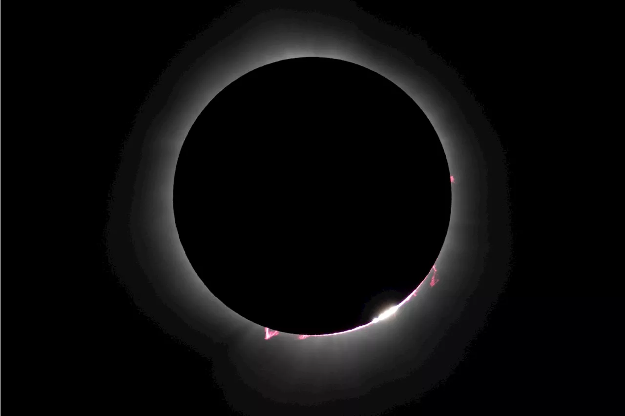 Solar Eclipse Skyrockets ‘Total Eclipse of the Heart’ Streams by 480%