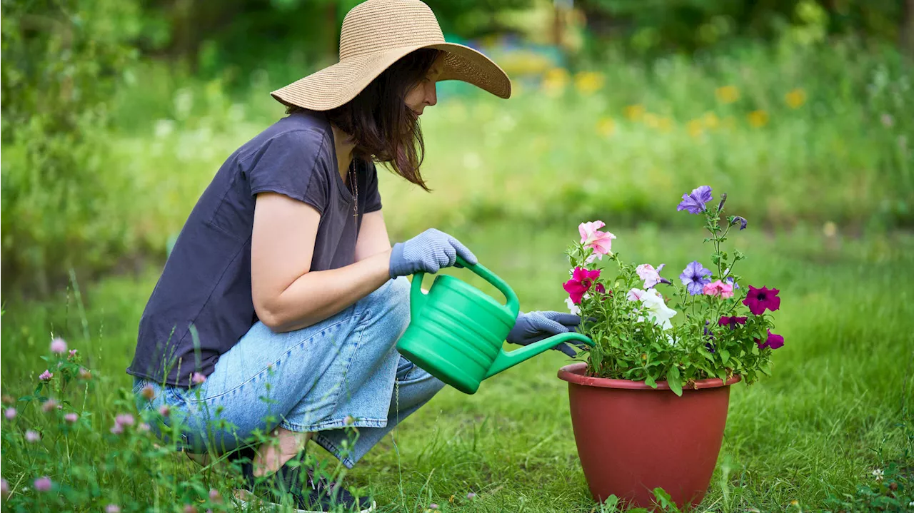 Regeln für die Gartenarbeit: Bußgelder drohen bei Verstoß