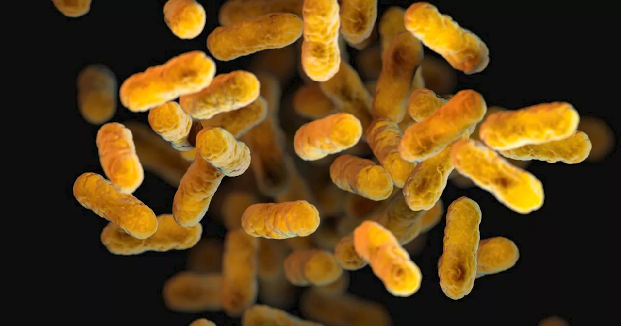 Increase in Whooping Cough Cases in Newfoundland and Labrador