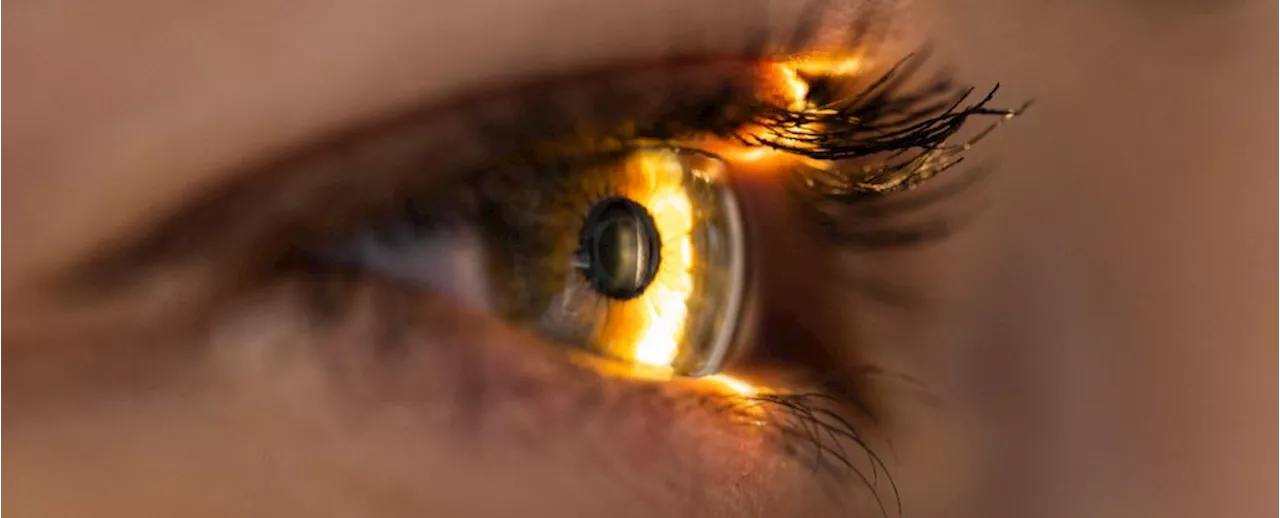 Blinking Actually Boosts Your Vision, And We Never Even Noticed
