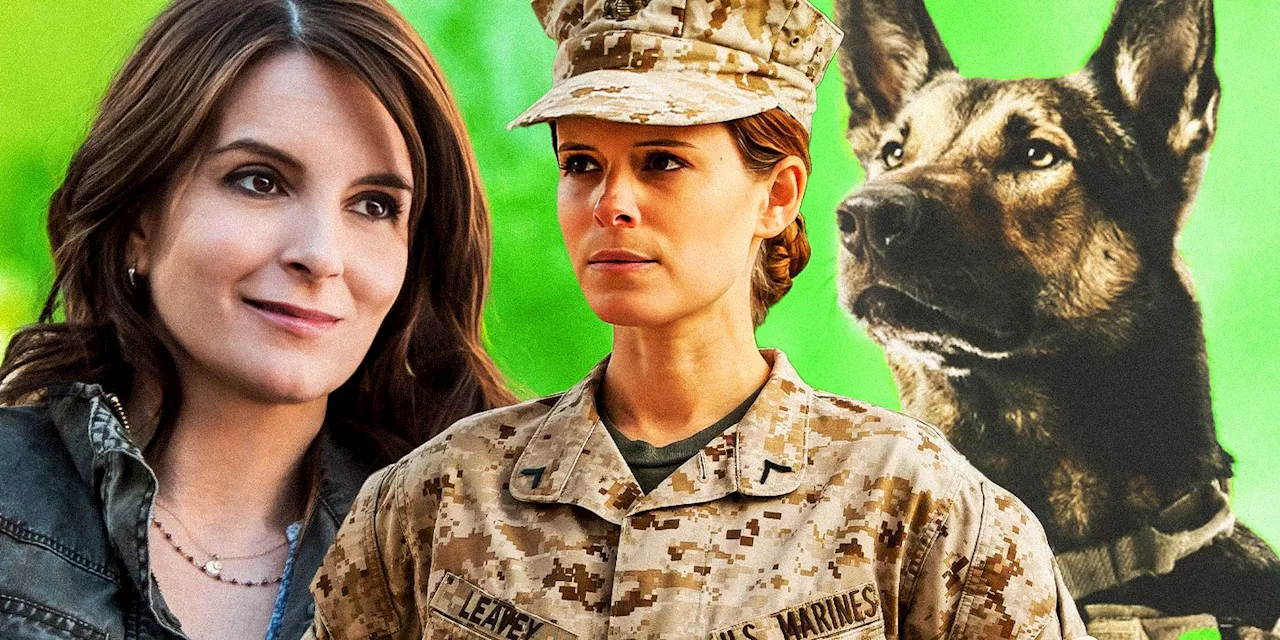 10 Great War Movies Like Megan Leavey