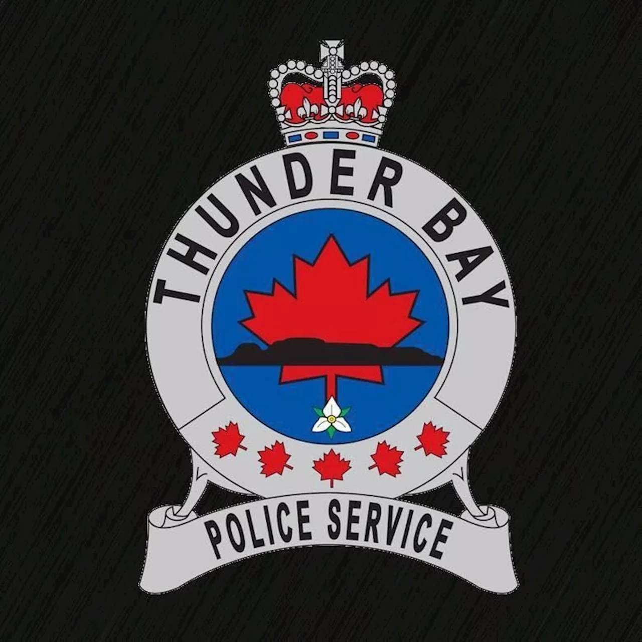 Former Thunder Bay police chief arrested and charged in misconduct probe