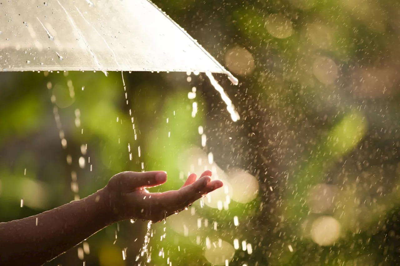 Heavy rain, strong winds expected today: Environment Canada