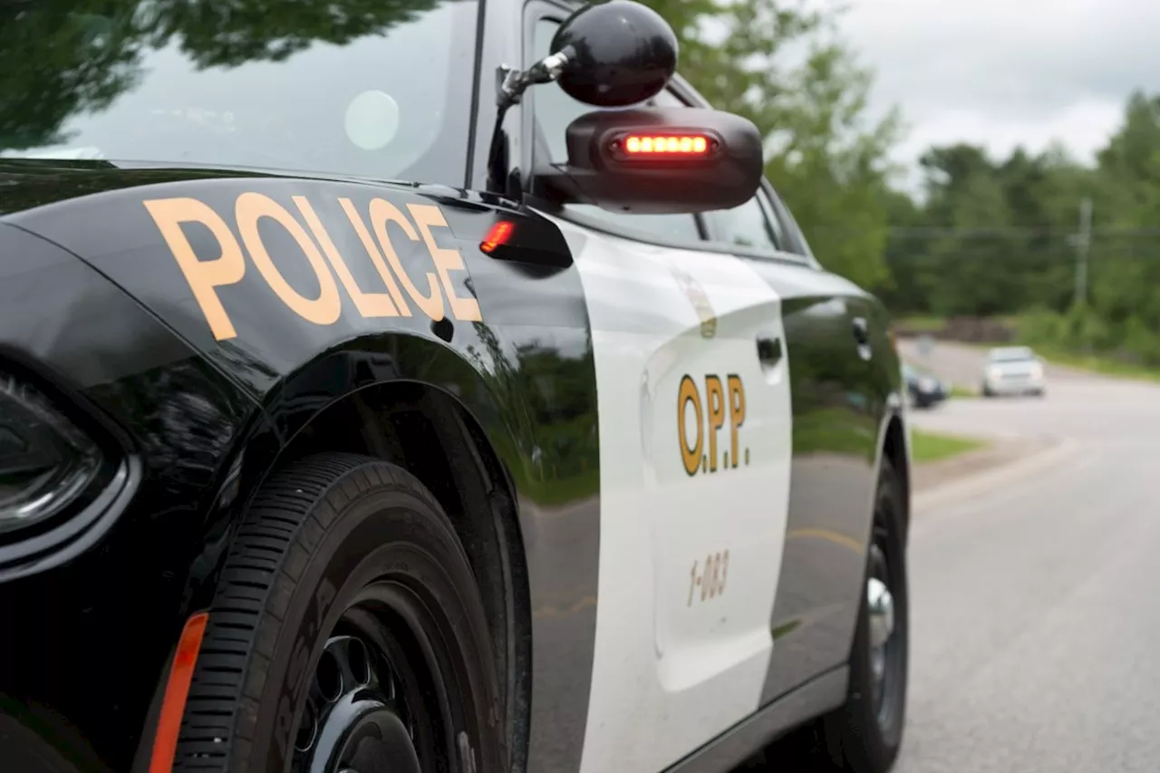 Two arrested after 'extensive' probe into property crime: OPP