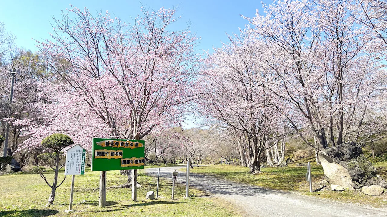 花の寺・有珠善光寺を中心に１年通して「花巡り」…伊達市・あの街行く北海道