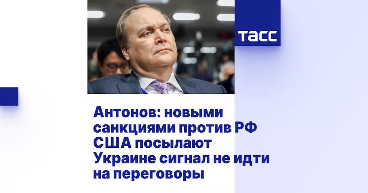 Антонов: новыми санкциями против РФ США посылают Украине сигнал не идти на переговоры