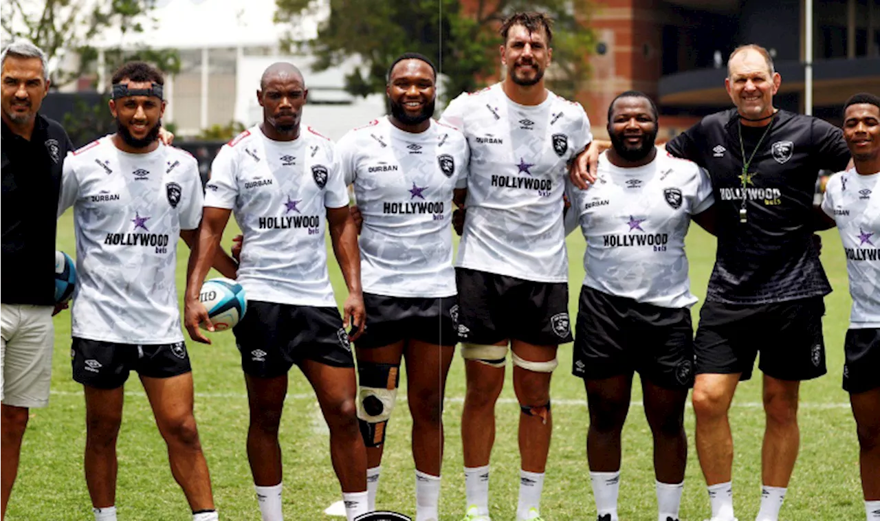 Sharks Call on Springbok Stars for Challenge Cup Quarter-Final