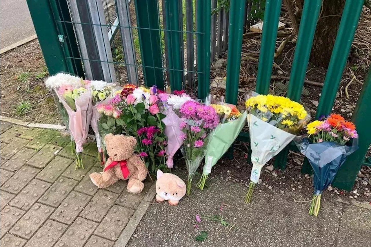 Five-Year-Old Girl Killed in Tragic Bike Accident Outside School