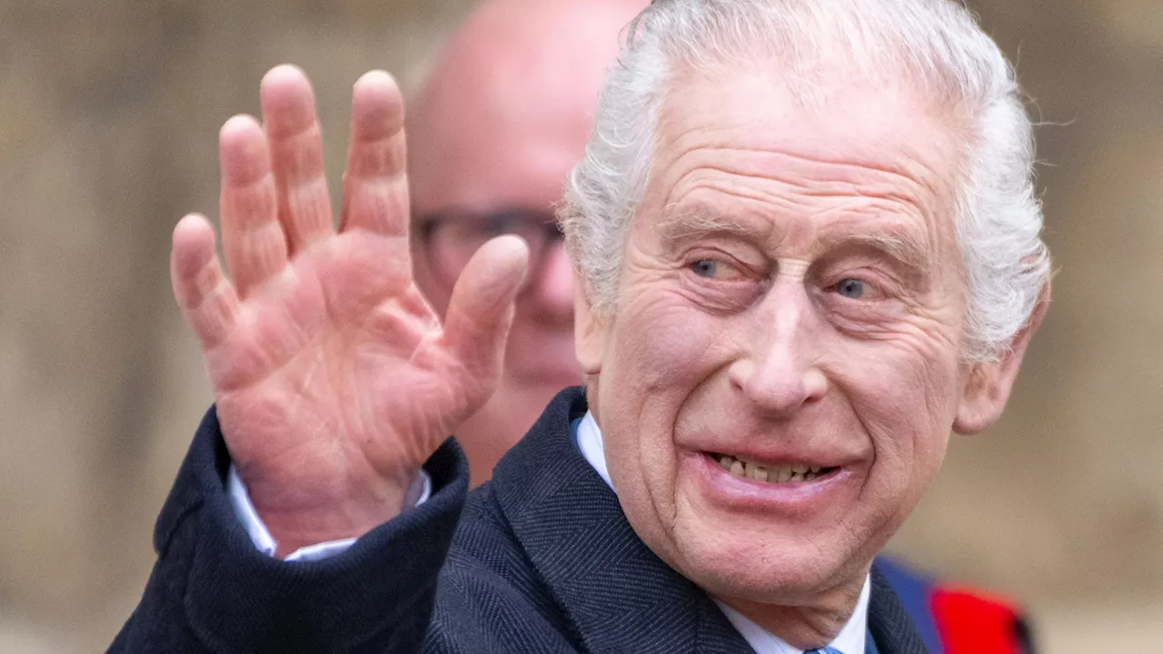 King Charles applies for planning permission to build massive solar farm with 2,000 panels on Sandringham...
