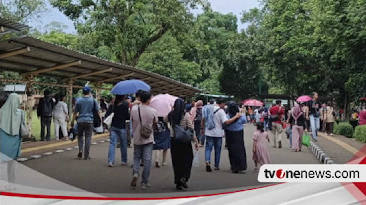 Kebun Binatang Ragunan Diguyur Hujan Ringan saat Hari Kedua Lebaran, Pengunjung Kocar-Kacir Cari Tempat Teduh