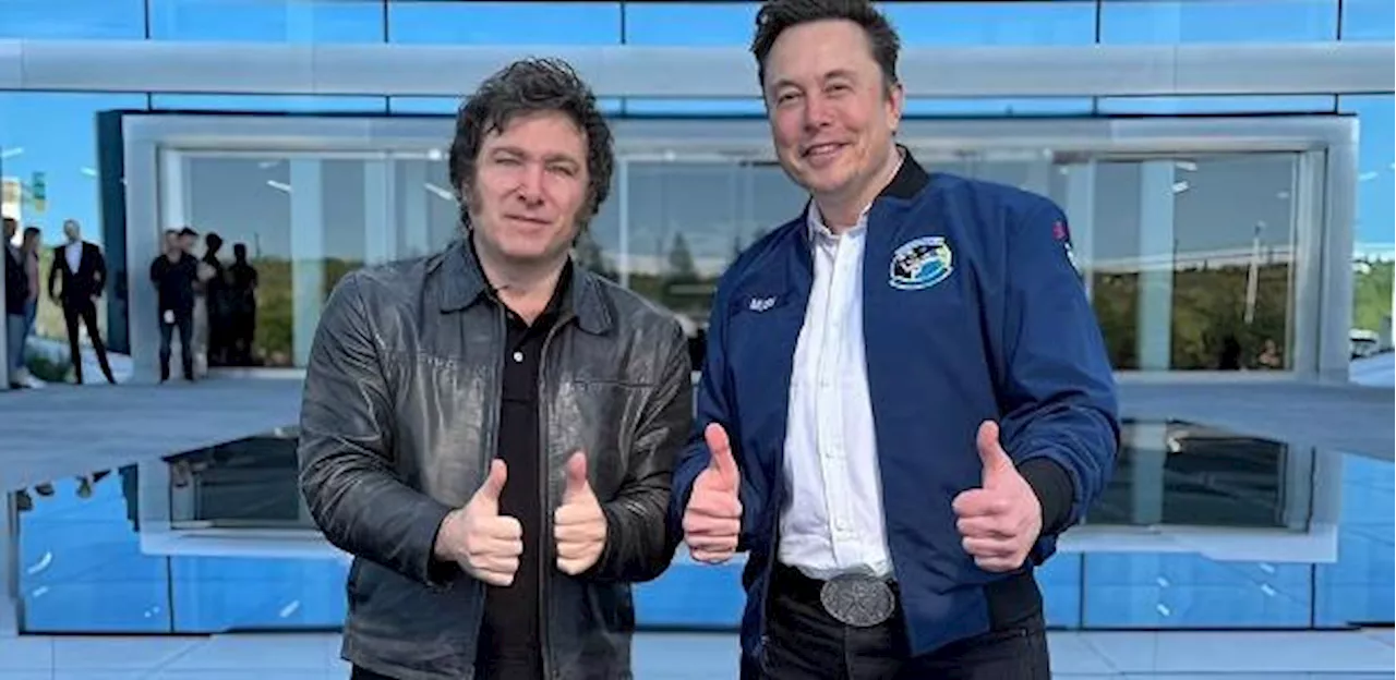 Maierovitch: Tropeço do STF com Musk transformou até Milei em 'conciliador'
