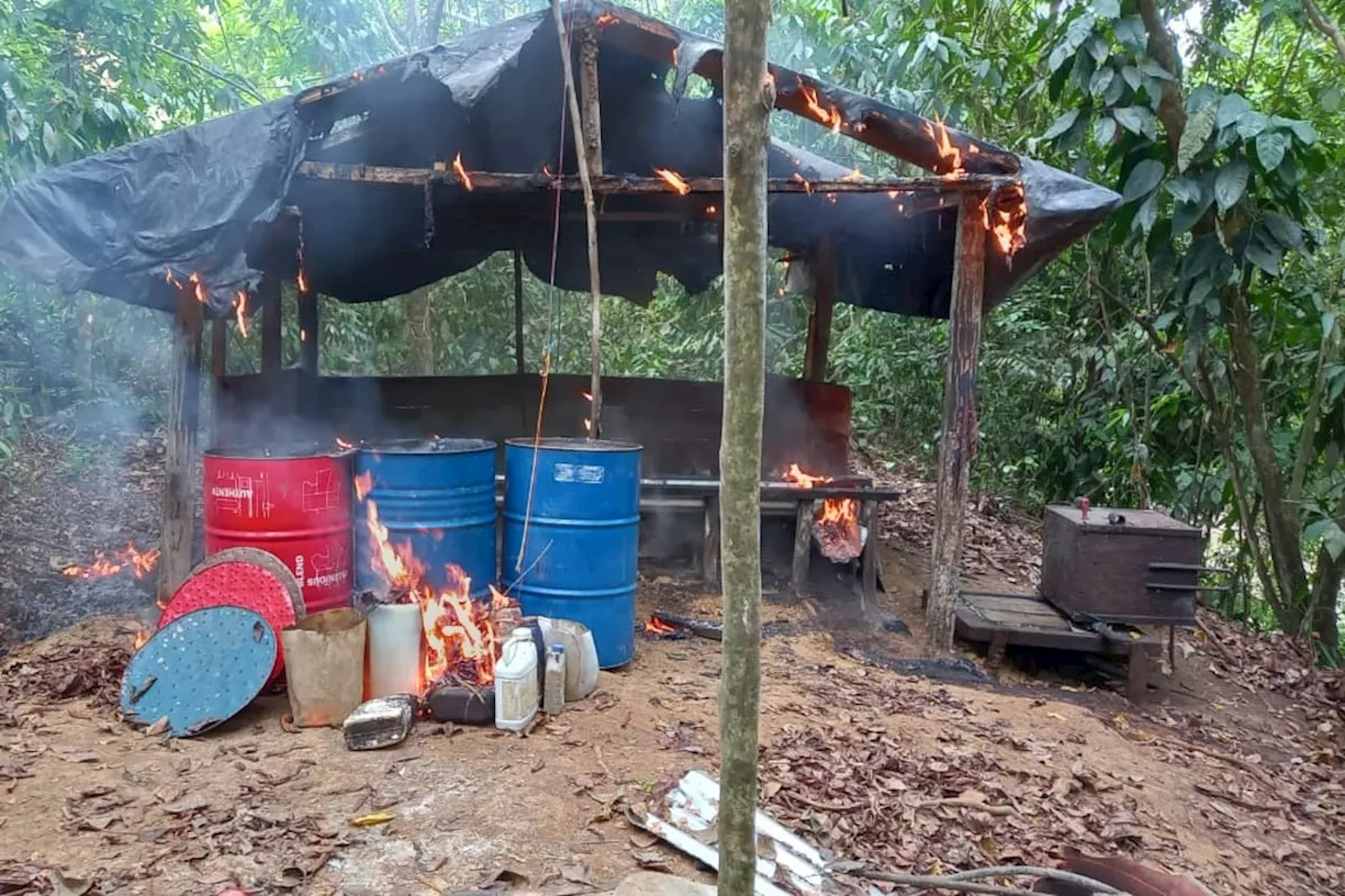 Ejército destruyó tres laboratorios de coca y dos semilleros del Clan del Golfo en Córdoba