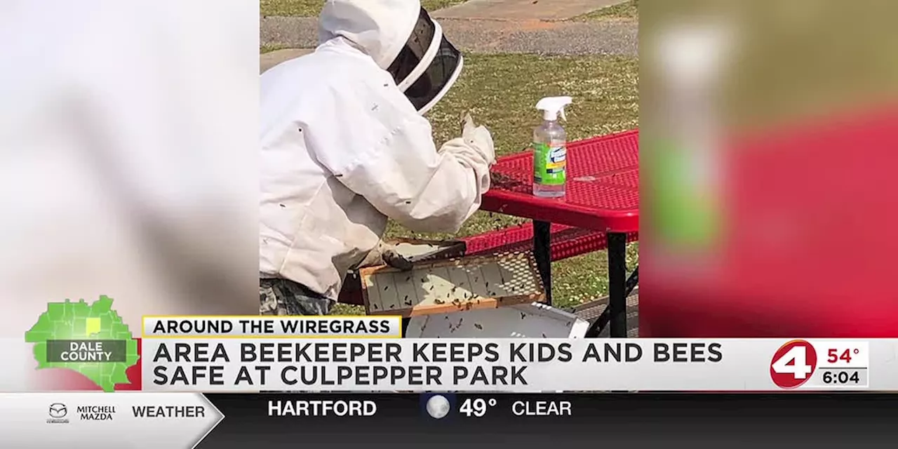 Area beekeeper keeps kids and bees safe at Culpepper Park