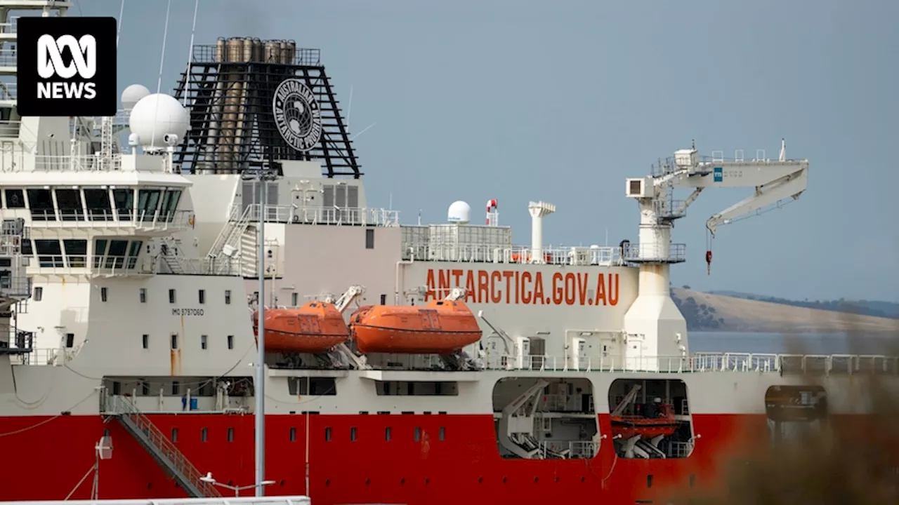 Australian Antarctic icebreaker RSV Nuyina hit by technical issues and industrial action