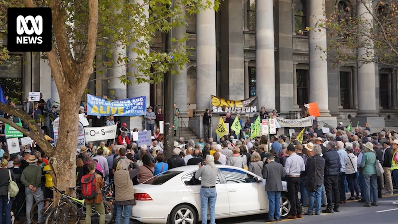 Dispute over proposed reform of South Australian Museum's research wing