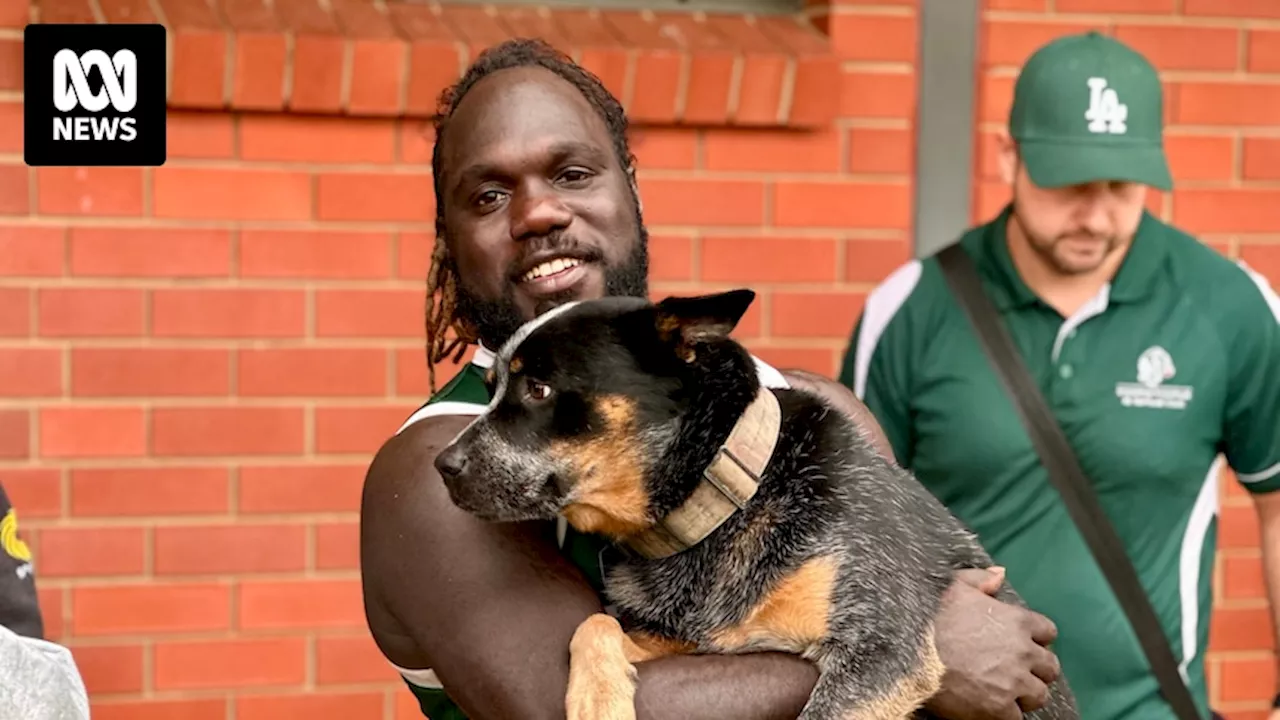 From AFL lights back to the sticks: Essendon Bombers cult-hero Tippa inspires in regional footy debut