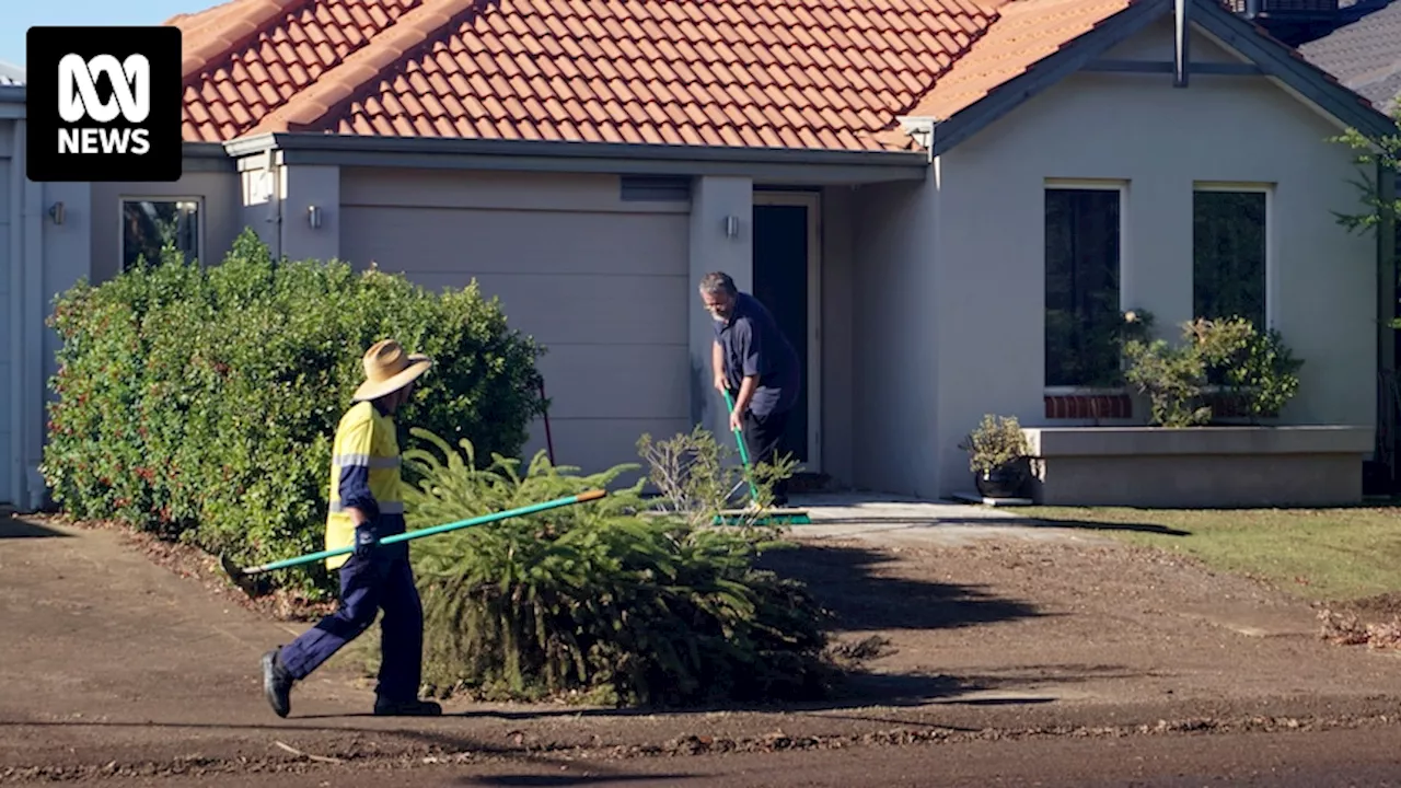 Residents in Perth suburbs of Clarkson and Butler clean up after wild weather