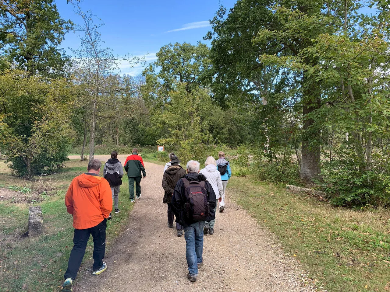 Dans le Val-d'Oise, la fin des coupes « rases » en forêt ? | La Gazette du Val d'Oise