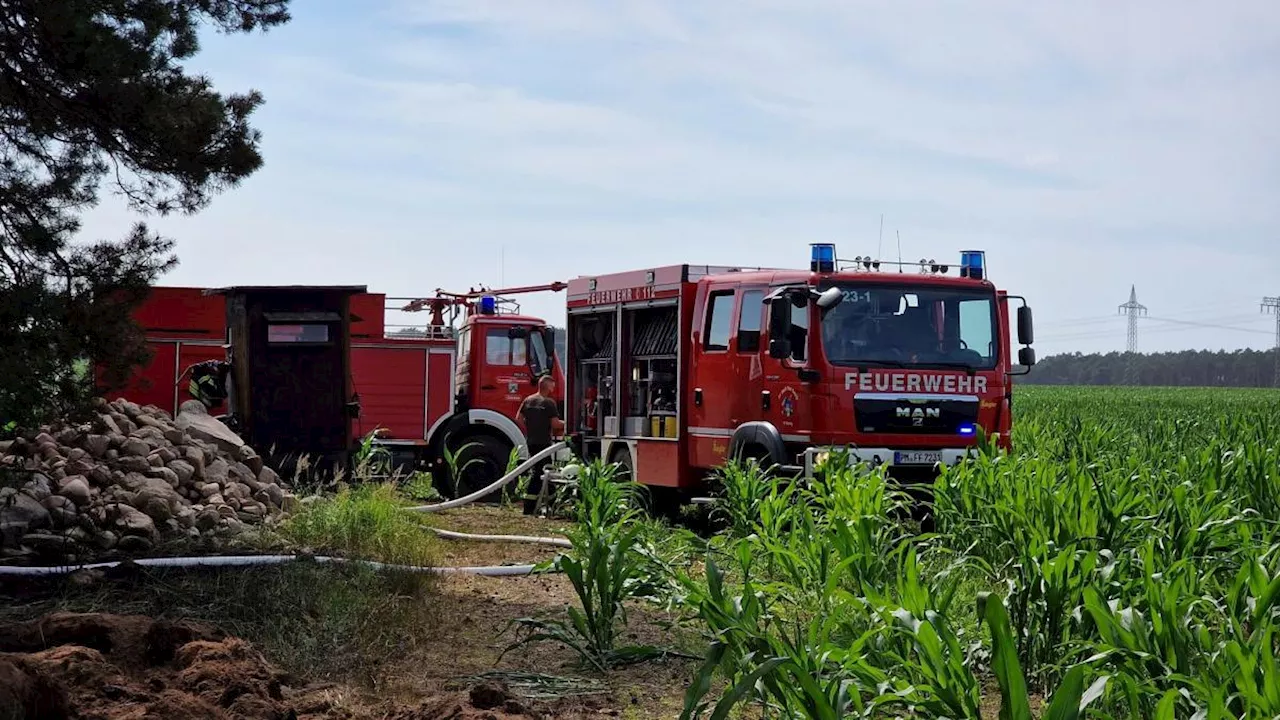 Größter Saison-Waldbrand in Brandenburg: Feuer bei Ferch