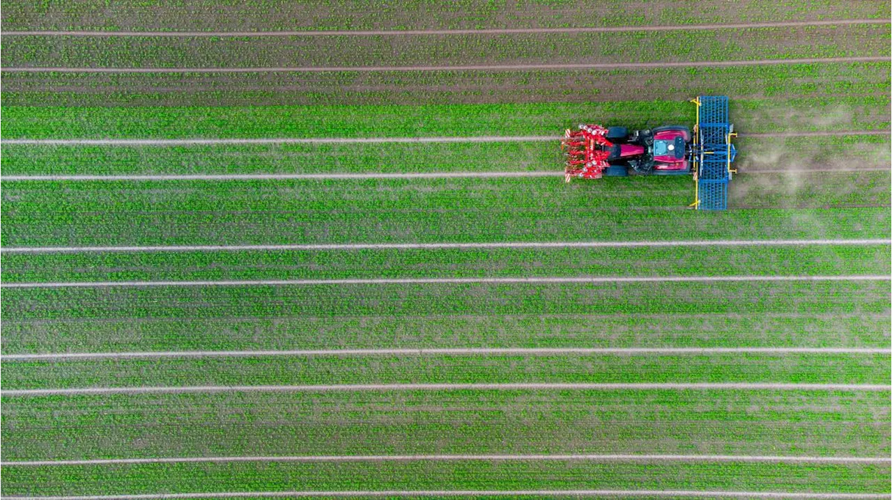 Stockender Bio-Ausbau: Wer Bio fördern will, muss regional denken