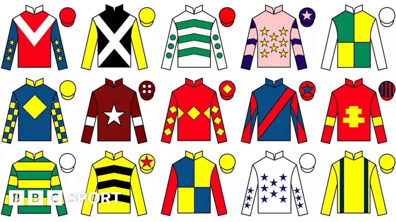 Grand National runners Pinstickers' guide to 2024 Aintree race