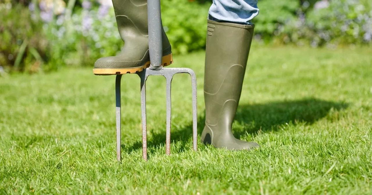 Gardening fans praise 'great' lawn repair product