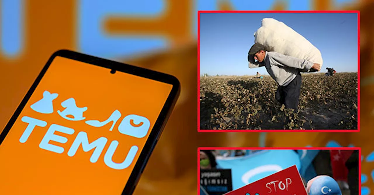 Chinese E-Marketplace Temu Encourages Use of Chinese Cotton Despite Human Rights Concerns