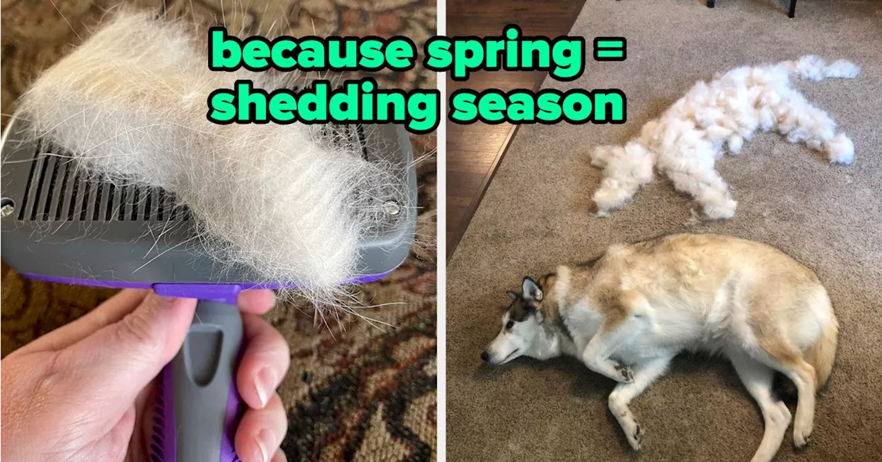 18 Products To Handle Spring Tasks You Don’t Wanna Do