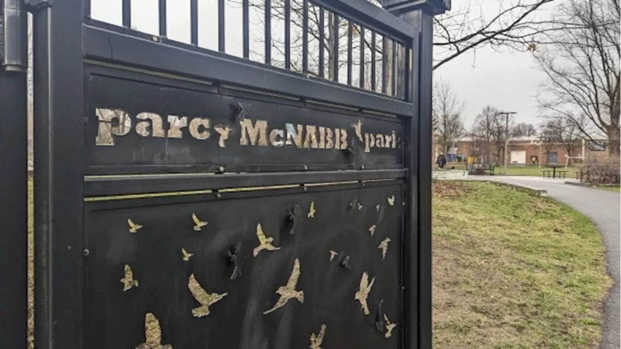 16-Year-Old Boy Dies After Fight at McNabb Park