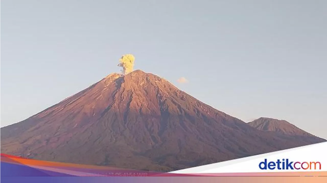 Gunung Semeru 2 Kali Erupsi Pagi Ini, Tinggi Letusan Sejauh 600 Meter