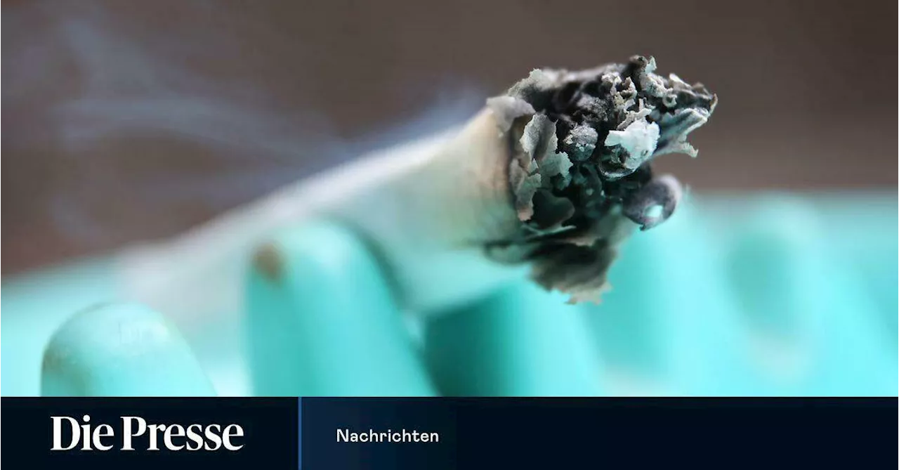 21-Jähriger versorgte Schüler einer Wiener AHS mit Cannabis