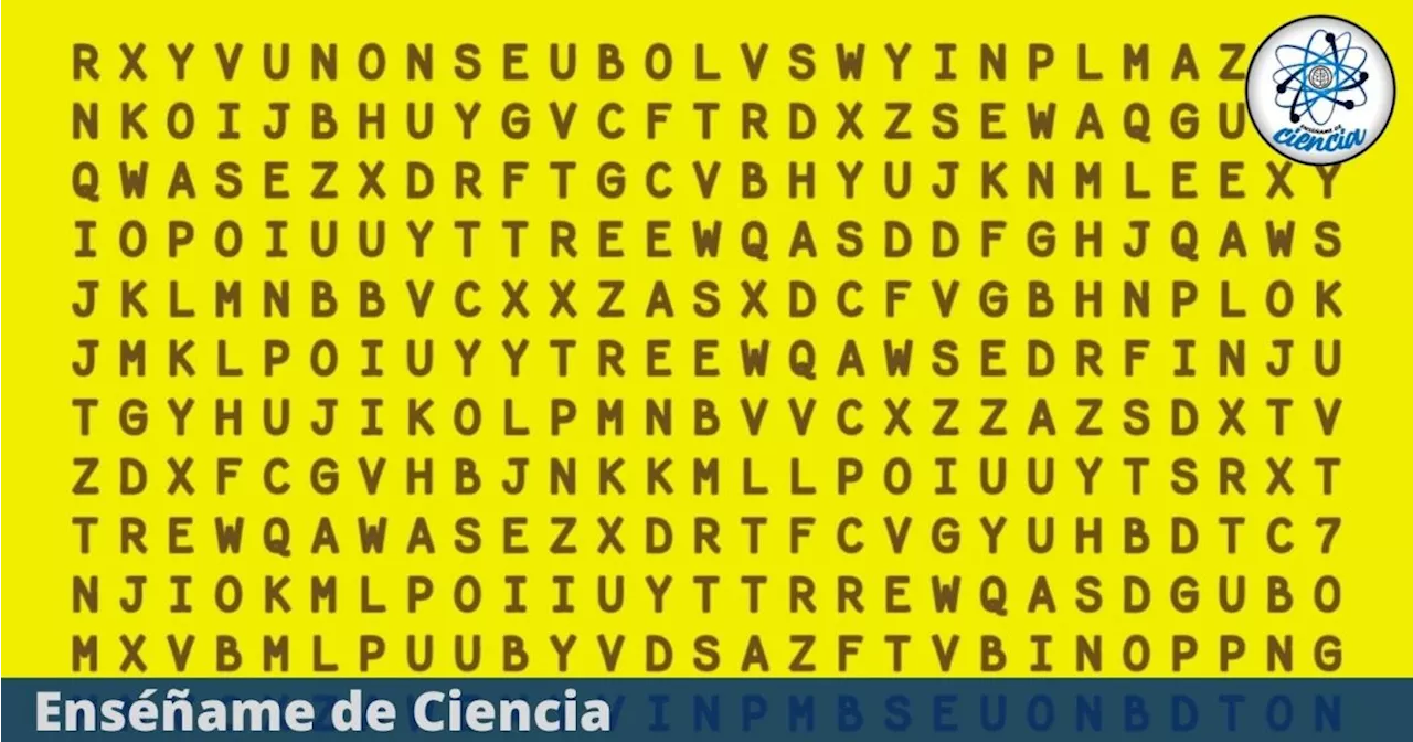 Acertijo visual de la palabra ARQUEOLOGÍA; sólo el 10% logró superar la sopa de letras EXTREMA
