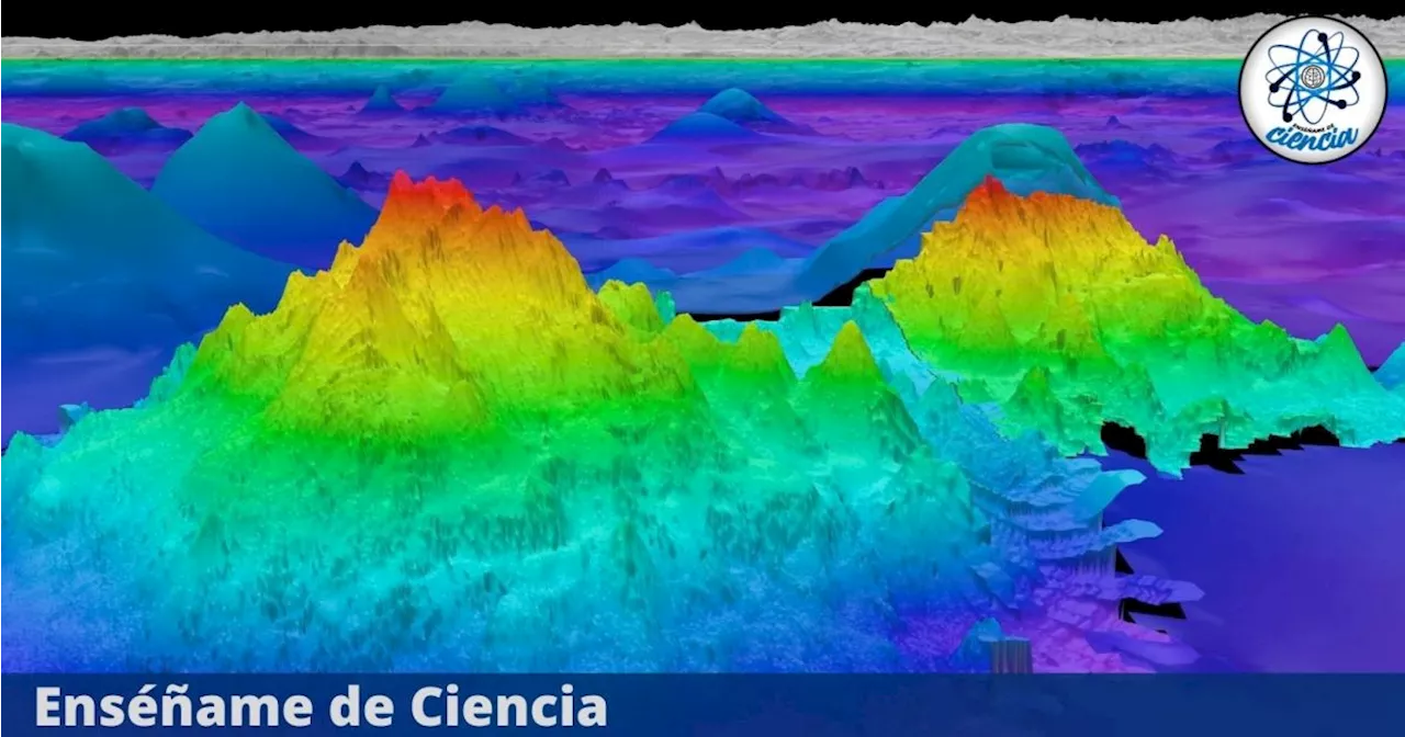 Una expedición científica peruana realiza importante descubrimiento en el fondo del mar