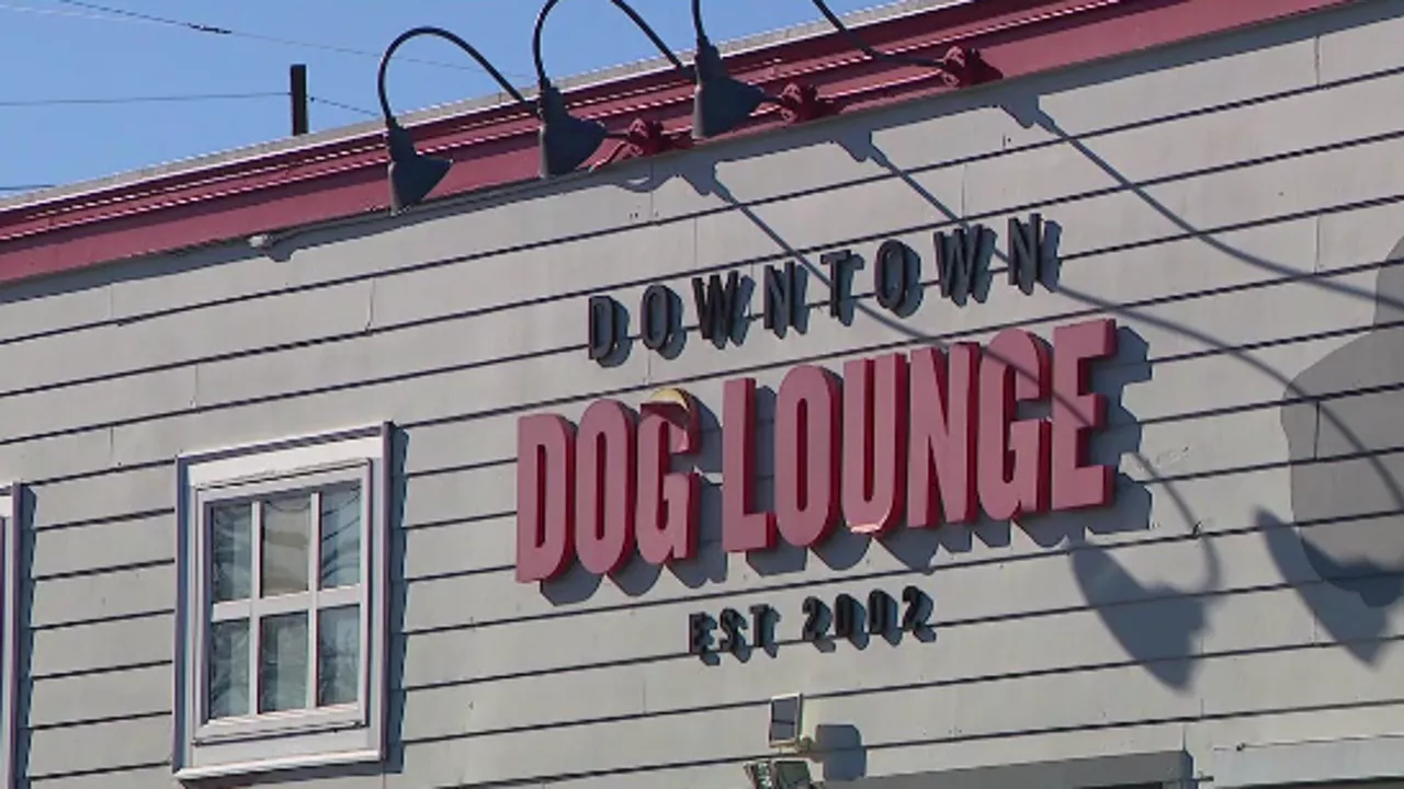 Dog daycare workers push back against Downtown Dog Lounge at union bargaining table