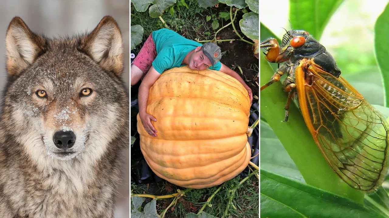 Surprising Nature Tales, Food Revelations, and More: Lifestyle Stories of the Week