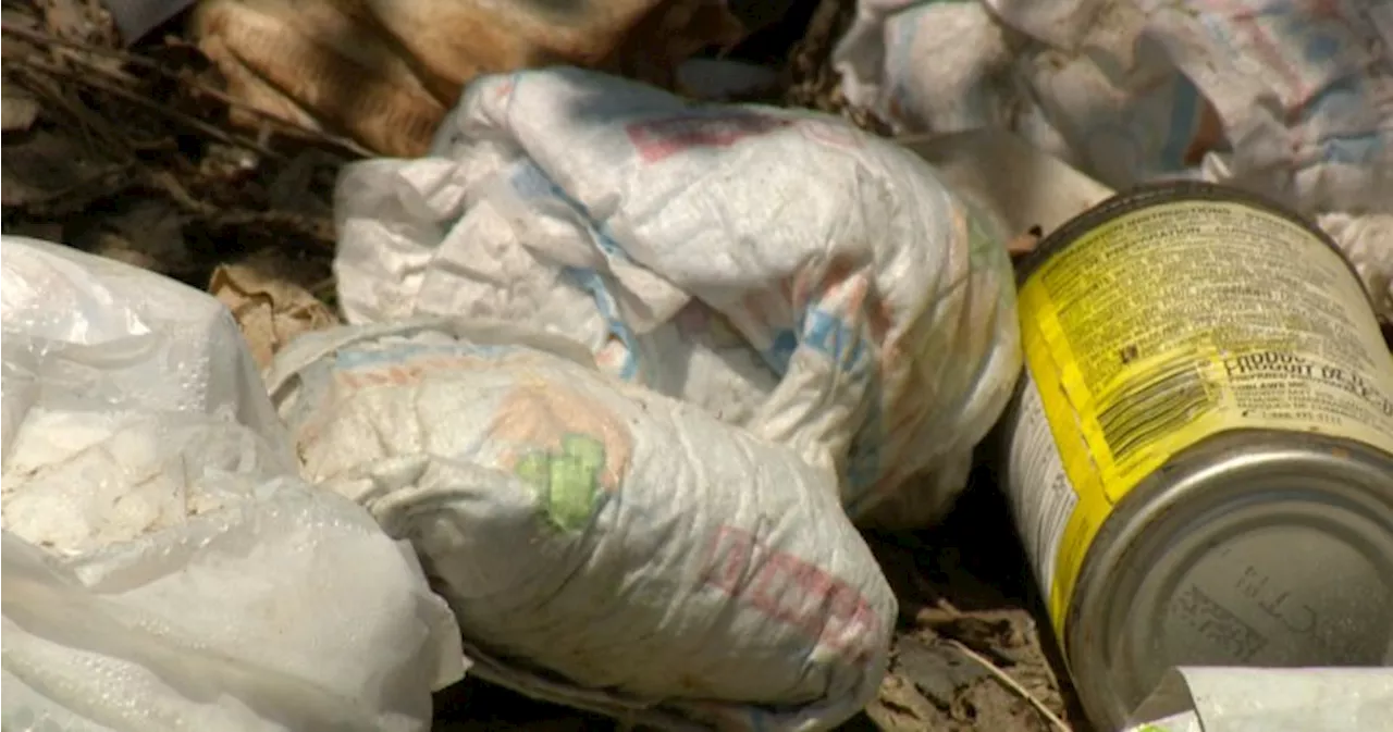 Volunteers come together to clear Regina North Central garbage piles