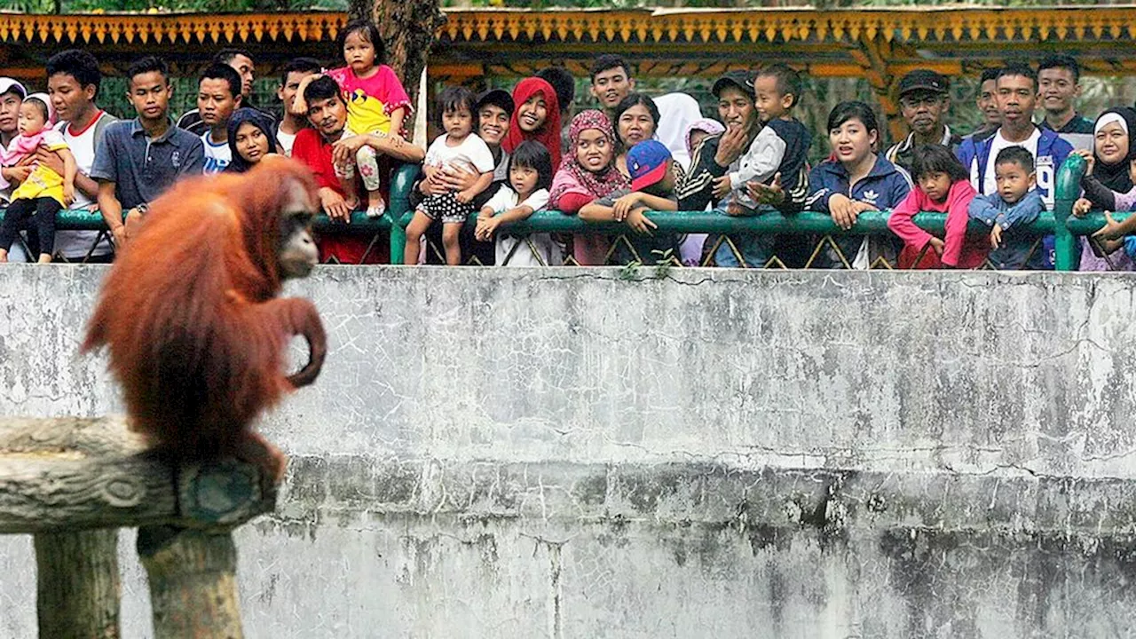 Weekends are the peak period for visiting tourist attractions in Jakarta