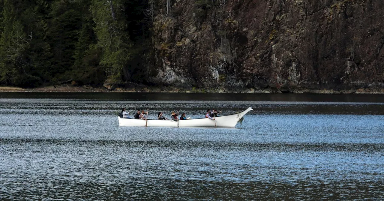 First Rescue Attempt For Stranded Orca Orphan Calf Is Unsuccessful