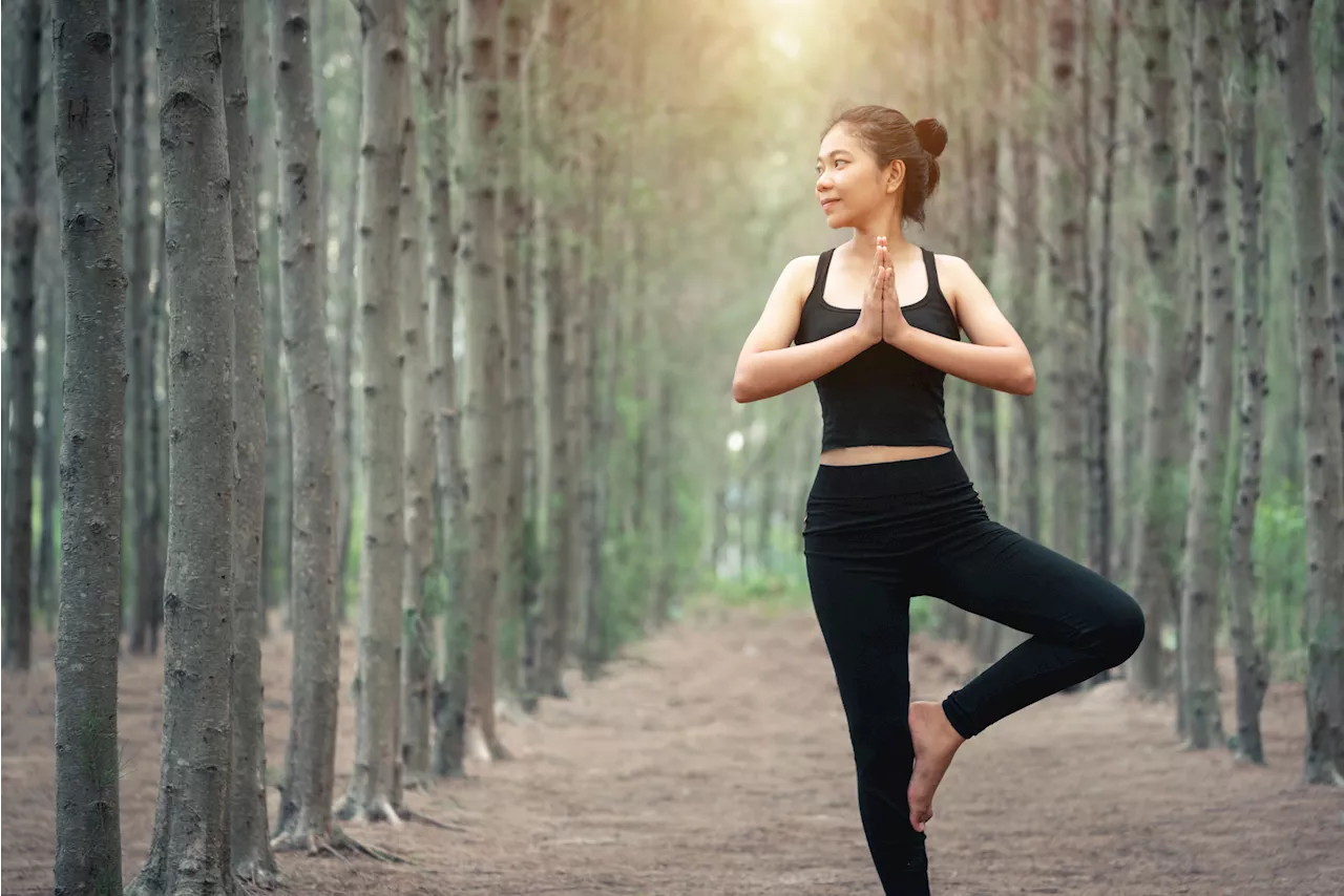 Green yoga, la pratica per rispettare la natura allo Yoga meeting di Merano