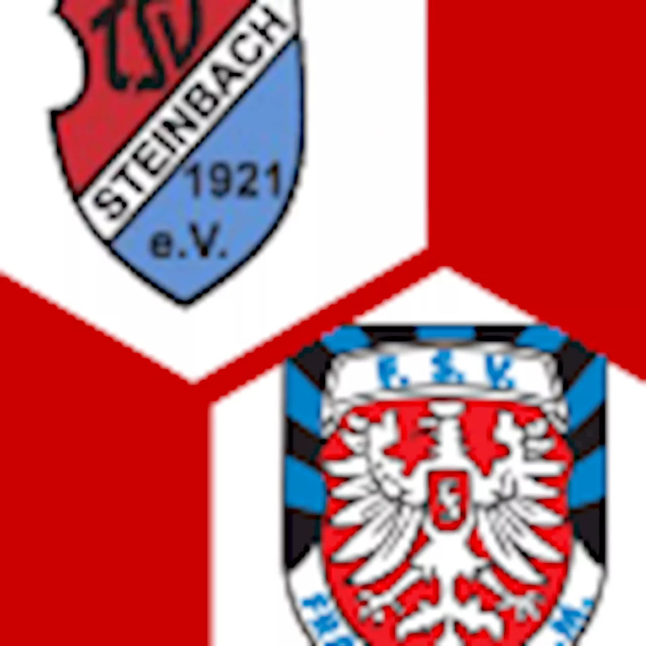 FSV Frankfurt 1:0 | 29. Spieltag | Regionalliga Südwest 2023/24