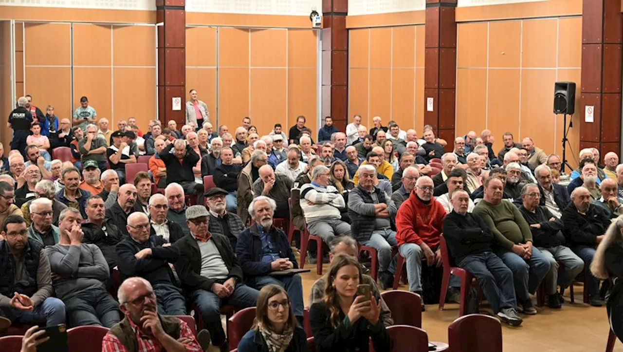 La prolifération des sangliers au cœur des préoccupations des chasseurs au cours de leur assemblée générale