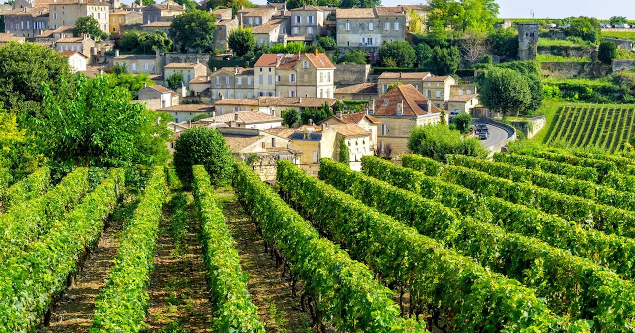 Ces 50 bordeaux 2021 d'exception à ne pas rater parmi un millésime contrasté