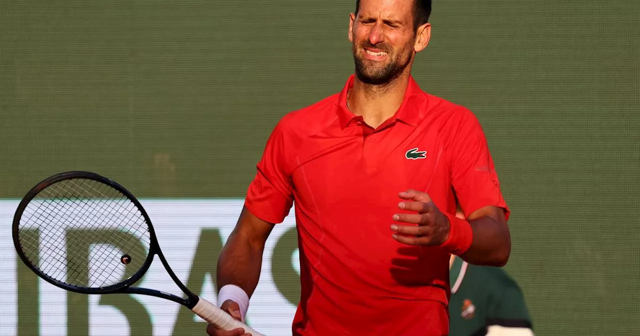 Tennis : pas de finale à Monte-Carlo pour Djokovic, surpris par Ruud