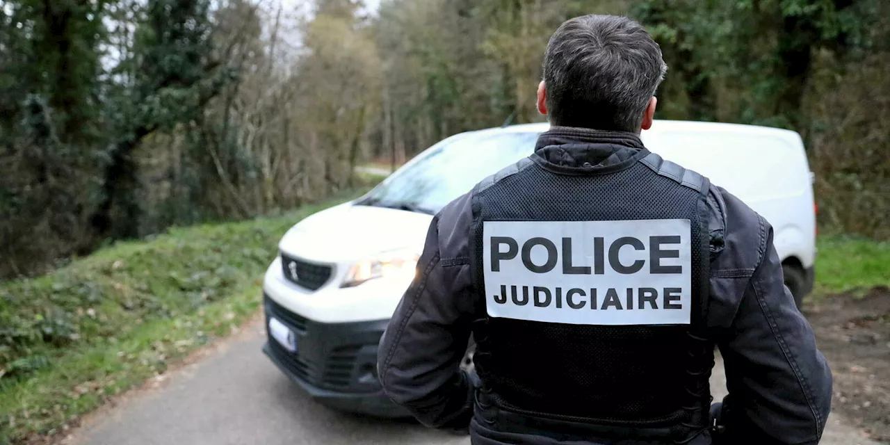 Val-de-Marne : des ossements découverts dans un bois par des promeneuses