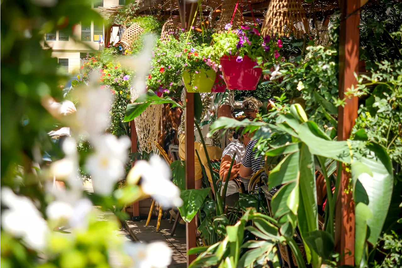 À Castellane, Ubud offre une bulle de verdure pour s’évader en Indonésie