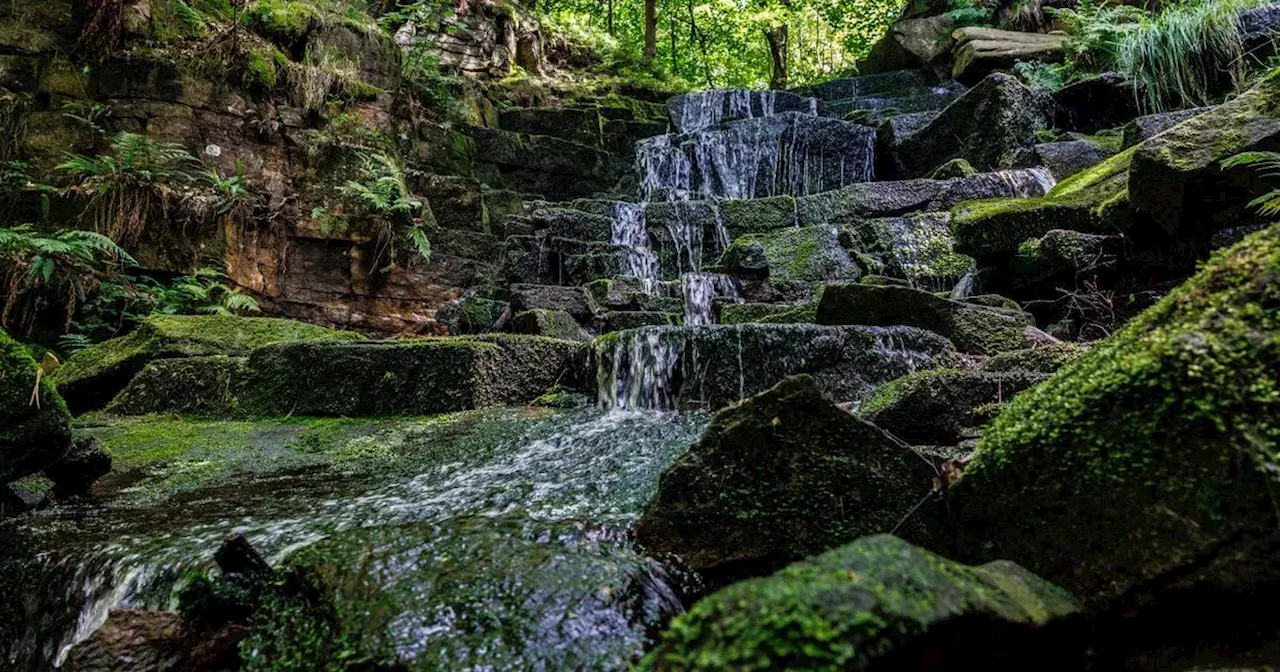 Discover the Hidden Gem of Hatch Brook Waterfall in Lancashire