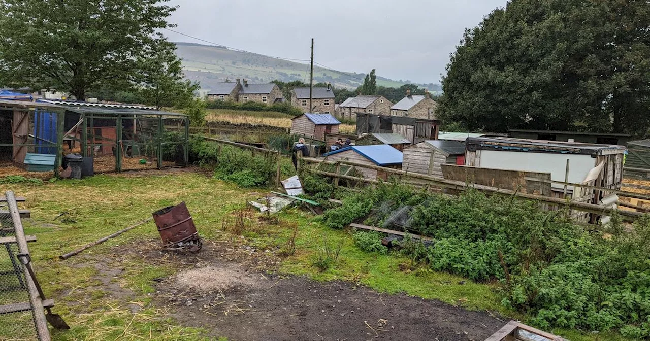 'Neglected and suffering' animals found at rescue centre