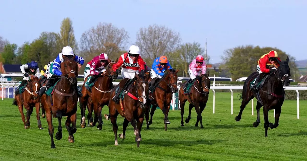 Second horse dies at 2024 Grand National festival | Sports | Head Topics