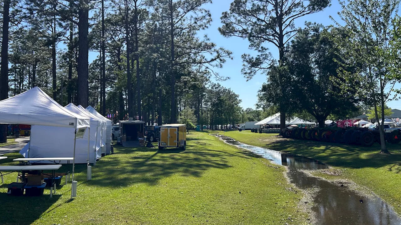 35th annual Baldwin County Strawberry Festival expecting thousands of attendees