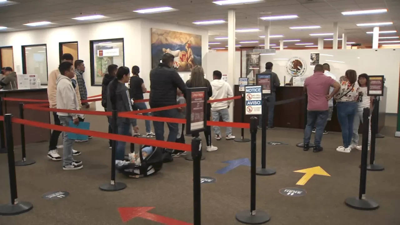 Outside businesses charging public to book appointments at Mexican consulate in San Jose